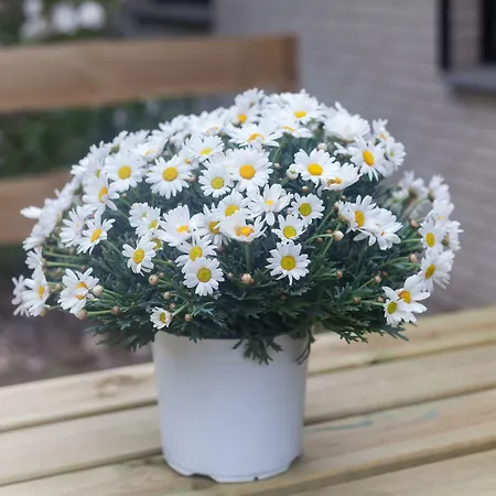 Hostel 2 Hannover-laatzen