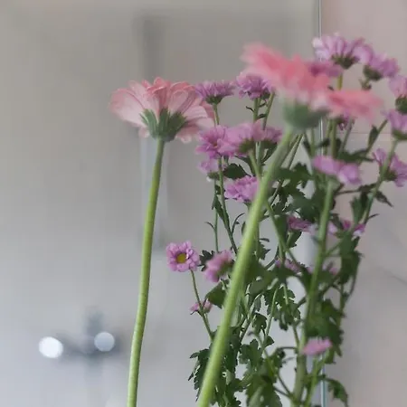 2 Hannover-laatzen * Латцен