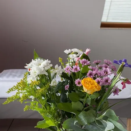 2 Hannover-laatzen Хостел Латцен