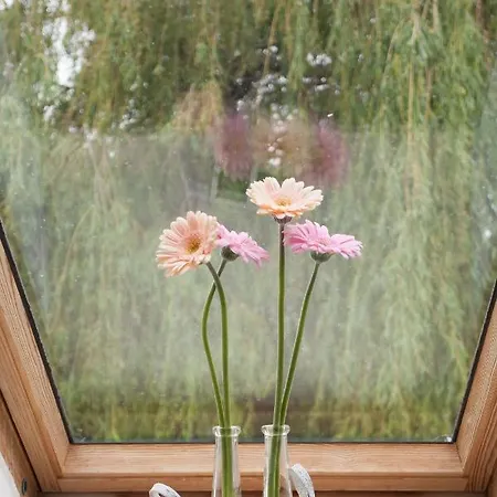 2 Hannover-laatzen * Laatzen